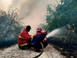 BNPB: Karhutla di Jalan Trans Barelang Batam berhasil dipadamkan