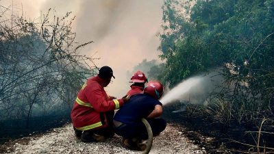 BNPB: Karhutla di Jalan Trans Barelang Batam berhasil dipadamkan