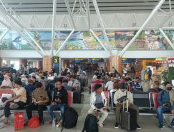 Kabut asap ganggu enam penerbangan di Bandara Supadio Kalbar