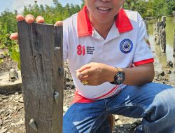 Kabar dari Singapura: Ada Dolar di Batang Mangrove!
