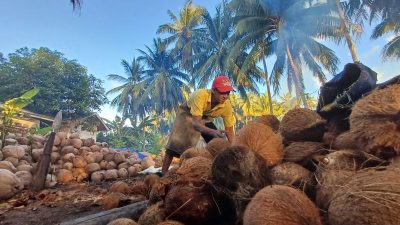 BPS catat jumlah penduduk miskin di Kepri turun 3,3 ribu orang