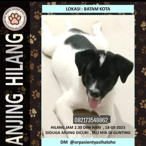 Bantu Cari… Bakal Dikasih Imbalan