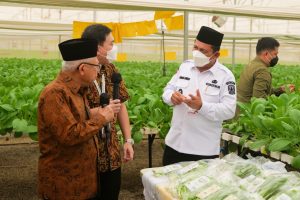 Wakil Presiden RI dan Gubernur Kepri Meninjau Pusat Pertanian Modern di Batam