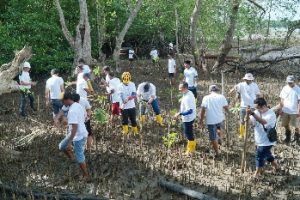 HARI LINGKUNGAN HIDUP, PLN BATAM PUNGUT SAMPAH DI KAMPUNG TERIH