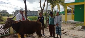  PWI Karimun Serahkan Hewan Kurban 1 Ekor Sapi ke Masjid Nurul Huda