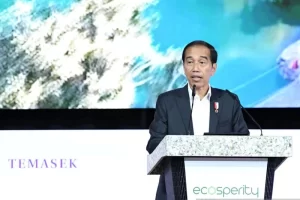 ARTIKEL: Menggali Dana Pembiayaan Hijau demi Mengatasi Perubahan Iklim