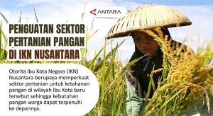 Penguatan Sektor Pertanian Pangan di IKN Nusantara