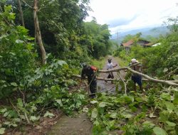 Gerak Cepat Babinsa Koramil 14/Cimanggu Evakuasi Pohon Tumbang