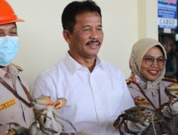 Muhammad Rudi Lepas Ekspor Perdana Kepiting Bakau ke China