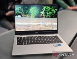 Huawei Matebook D14, Cerdas