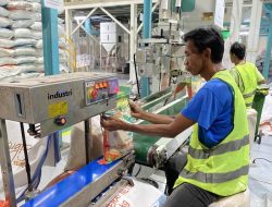 Bulog Needs to Expedite Rice Distribution: Ombudsman
