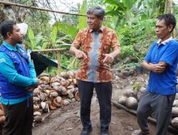 Kemenperin: Lombok bisa jadi contoh pengolahan hilirisasi kelapa