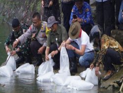 DKP Gunungkidul Tebar Benih Ikan Di Empat Telaga Jaga Ekosistem