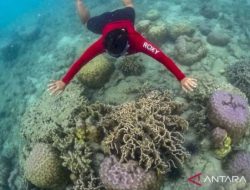 DPRD DKI sarankan Kepulauan Seribu jadi destinasi wisata sekolah