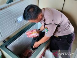 Bulog Rejang Lebong siapkan stok daging kerbau beku sebanyak 5 ton