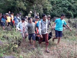 Basarnas temukan jasad warga jatuh ke jurang di Lahat