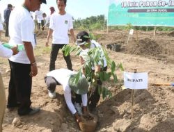 Kemenko PMK gelar program penanaman 10 juta pohon di Lombok Utara
