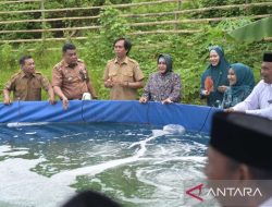 Pemkot dan PKK Makassar tebar benih Udang Vaname di Tanjung Merdeka