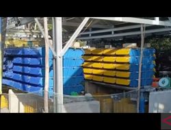 Bupati Bangka Tengah ajak warga membudidayakan kepiting bakau