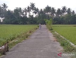 Pencairan dana desa di Kabupaten Kudus capai 52,49 persen