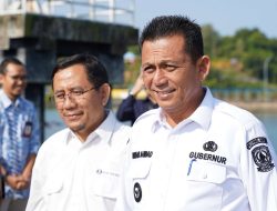 Inflasi di Kepulauan Riau Juni 2024: Faktor dan Langkah Pengendalian