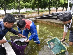 Digitalisasi Agromaritim untuk Sumber Pangan Berkelanjutan Indonesia