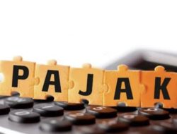 Mendorong Pertumbuhan Investasi di Era Pajak Minimum Global