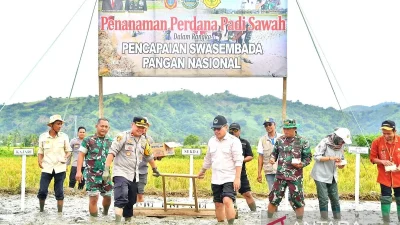 Pemkab Gorontalo Utara Targetkan Tanam Padi Sawah Seluas 14.430 Ha