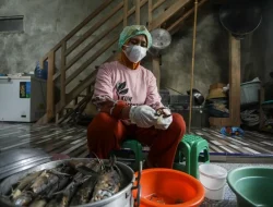 PHE ONWJ Dukung Kemandirian Ekonomi Warga Pesisir Lewat KUW Greenthink