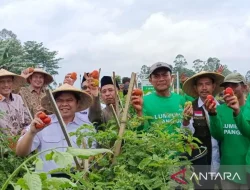 Baznas Dorong Kemandirian Ekonomi di Garut Lewat Kelompok Tani Binaan