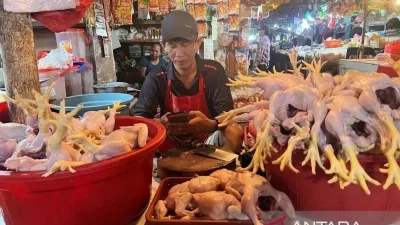 Harga Pangan: Daging Ayam Rp34.243/Kg, Cabai Rawit Merah Rp62.114/Kg