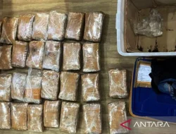 Polda Metro Jaya Tangkap Pria Bersama 7 Kilogram Ganja di Jakarta Barat