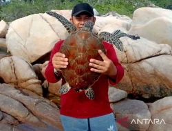 Sang Penjaga Ekosistem Laut di Wilayah Perbatasan