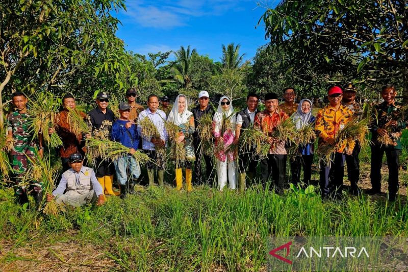 Pemkab Natuna Fokuskan Bantuan Pupuk Hanya untuk Petani Aktif