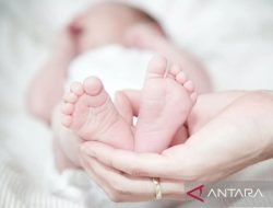 Penemuan Bayi di Depan Rumah Tohir, Tangisan Malam Itu Mengubah Segalanya