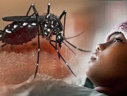 Awas! DBD Mulai Menggila di Batam, Ratusan Anak Jadi Korban