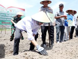 Ketahanan Pangan di Batam, Sinergi Pemerintah dan Polri Tanam Jagung untuk Swasembada Nasional
