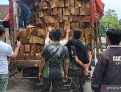 Hutan yang Menyusut, Bencana Mendekat
