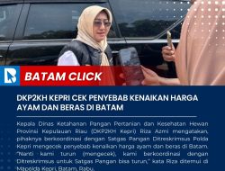 Harga Ayam Naik Buk…