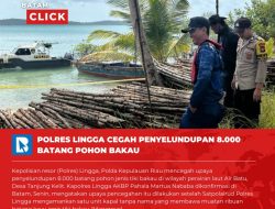 HEDEH… Masih Ada yang Main Tebang-Tebang ya…. 8 Ribu Batang Pohon Bakau