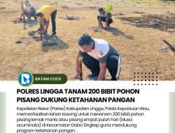 Polisi di Lingga Berlomba Tanam Pohon Pisang