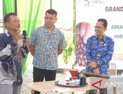 Huta Kopi Tapanuli Selatan Jadi Motor Ekonomi Lokal Berbasis HHBK