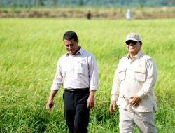 Sektor Pertanian Jadi Tulang Punggung Ekonomi, BI Catat Kinerja Melesat