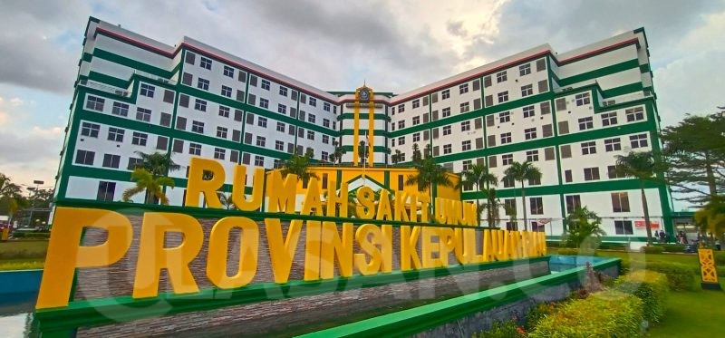 Proyek strategis Kepri 2026 fokus pada pembangunan Tugu Bahasa Nasional di Penyengat dan pengembangan RSUD Raja Ahmad Tabib untuk pariwisata dan layanan kesehatan.
