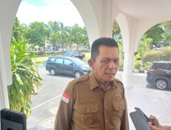 Kepri Terang, Pemprov dan PLN Targetkan Enam Pulau Nikmati Listrik 24 Jam