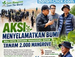 Amsakar Ngarung di Lumpur, Tanam 2.000 Mangrove Demi Batam Asri