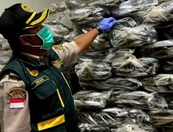 Karantina Kepri kawal pengeluaran produk perikanan Rp4,45 M di Natuna