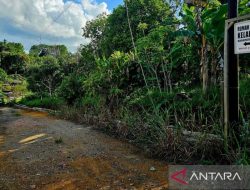 Pemkab Natuna sediakan rumah tunggu kelahiran bagi ibu hamil