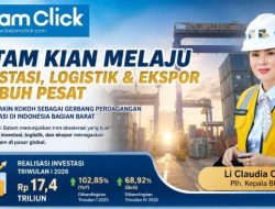 Batam Melesat, Investasi dan Logistik Tumbuh Pesat