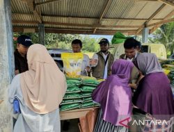 Bulog Natuna perkuat ketersediaan beras hingga delapan bulan